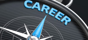 Career