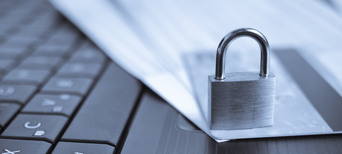 Secure online shopping