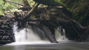 Logjam